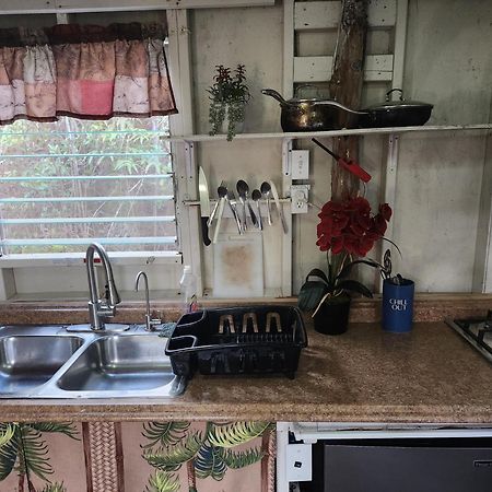 Cabin 2-Rustic Private Stay Near Volcano National Park Fern Forest Esterno foto