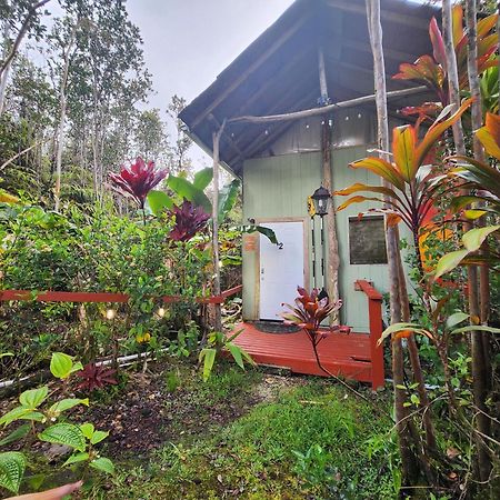 Cabin 2-Rustic Private Stay Near Volcano National Park Fern Forest Esterno foto
